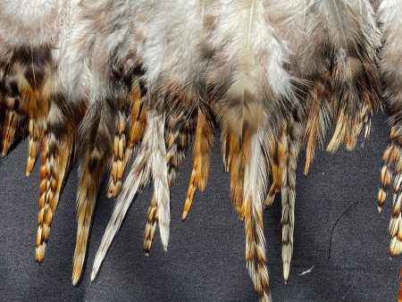 Hen Tiger Hen Feathers For Sale