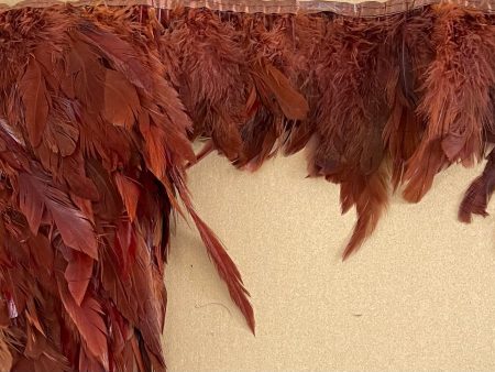 Plain rust colour Coque Feathers 32c Supply