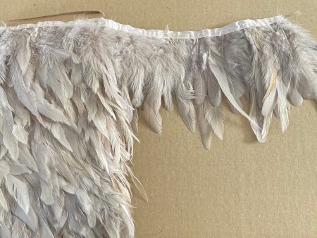 Beige Coque Feathers Hot on Sale