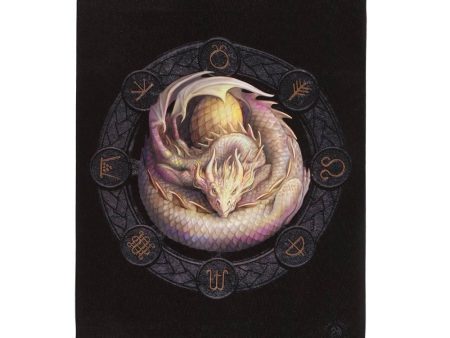 19x25cm Ostara Dragon Canvas Plaque by Anne Stokes For Sale