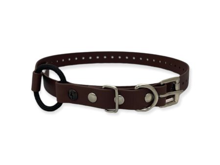 3 4″ Bungee Collar (33″ Length) For Discount