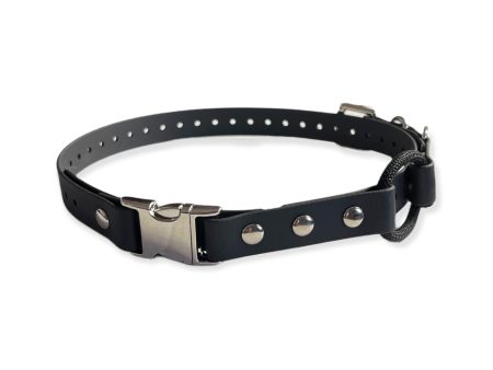 3 4  Quick Snap Bungee Collar 33  Length Discount