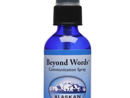 Beyond Words Spray - 2 oz Online Sale