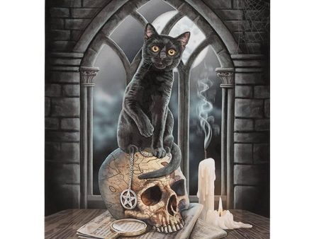 19x25cm Salem Canvas Plaque by Lisa Parker on Sale