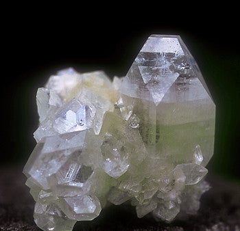 Apophyllite Online now