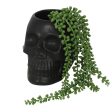 Black Skull Plant Pot on Sale