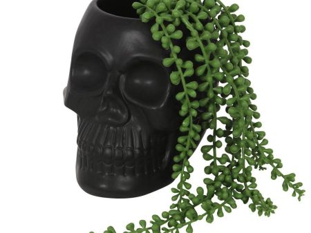 Black Skull Plant Pot on Sale