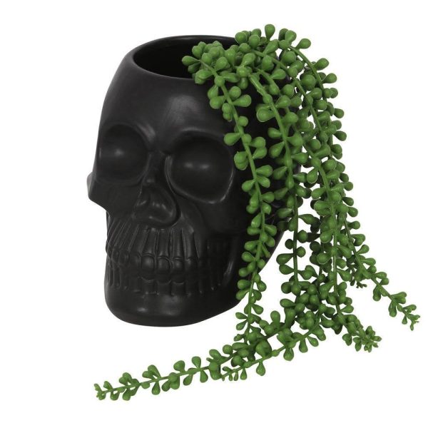 Black Skull Plant Pot on Sale