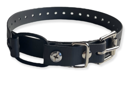 3 4  Mini Bungee Collar For Small Dogs Online now