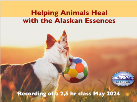 Helping Animals Heal with the Alaskan Essences Supply