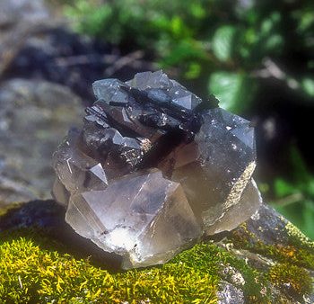 Black Tourmaline Master Quartz Fashion