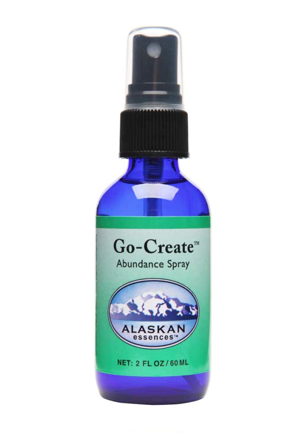 Go-Create Spray - 2 oz Online now