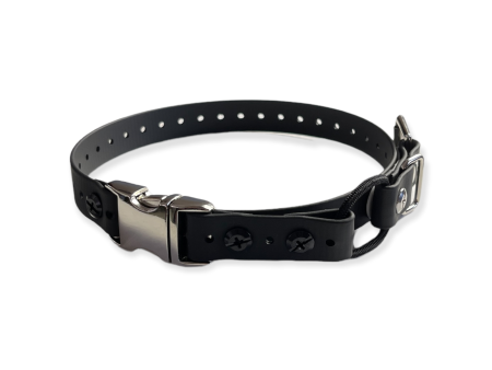 3 4  Quicksnap Mini Bungee Collar For Small Dogs Sale