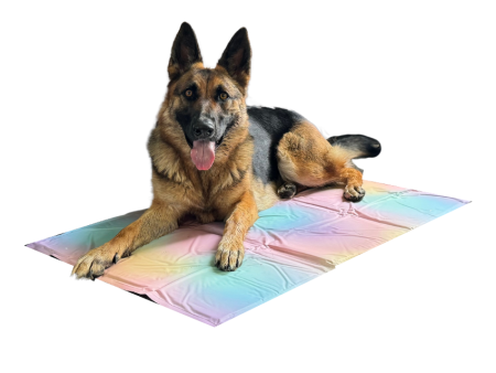 Gel Cooling Mat Online Sale