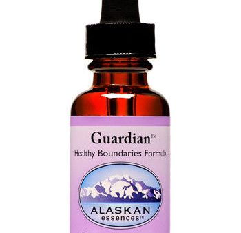 Guardian - 1 oz Online Hot Sale