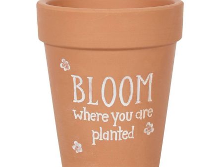 Bloom Where You Are Planted Terracotta Plant Pot Hot on Sale