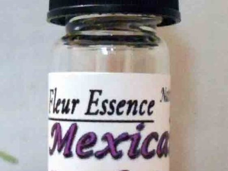 Mexican Bush Sage Flower Essence Cheap