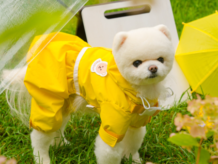 All in One Raincoat Online Hot Sale