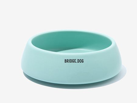 Bridge Ladder - Mint (Matte) Fashion