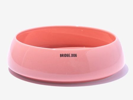 Big Ladder - Coral Pink (Glossy) Online now