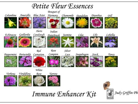 Immune Enhancers  Flower Essence Kit Online Sale