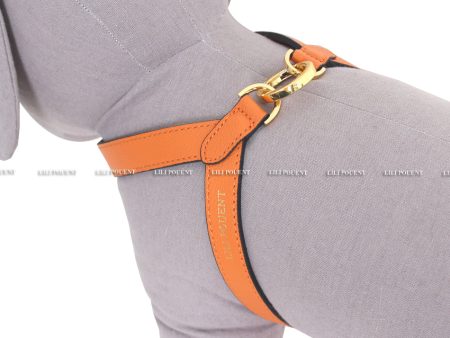 [PRE ORDER] Orange Harness Online now