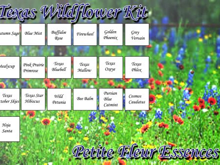 Texas Wildflower Essence Kit Fashion