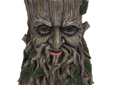 Green Man Plant Pot For Cheap