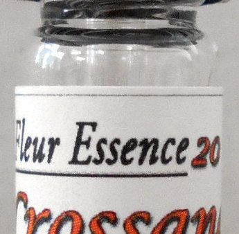 Crossandra,Influndibuliformis, Flower Essence For Cheap