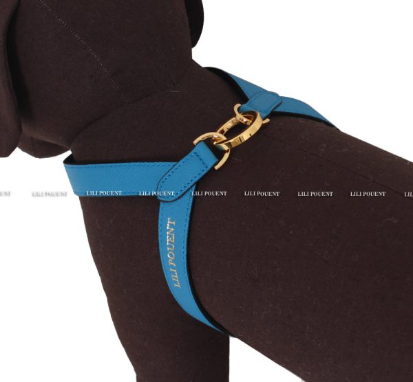 [PRE ORDER] Blue Harness Online Sale