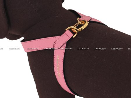 [PRE ORDER] Pink Harness For Sale