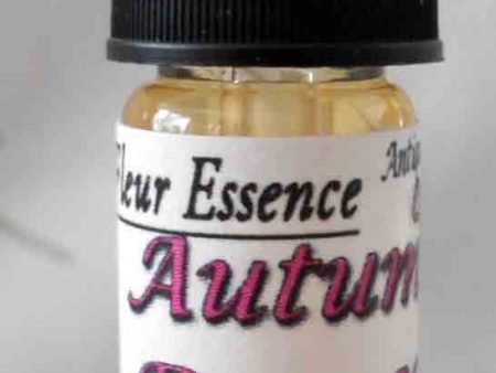 Autumn Damask, Rosa damascena bifera, Antique Rose essence, prior to 1819 Hot on Sale