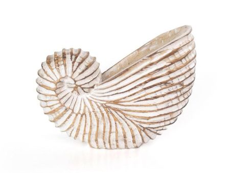 Whitewash Albasia Wood Shell Ornament Discount