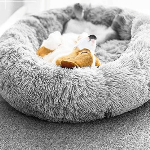 Calming Doughnut Bed For Cheap