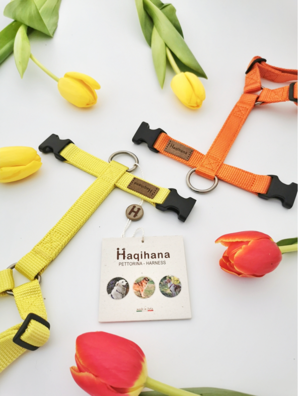 Harness H Supply