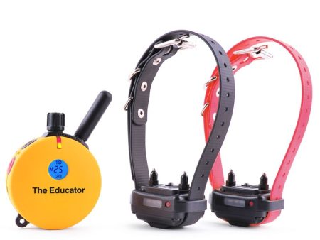 ET-402 2 Dog Educator 3 4 Mile Training E-Collar Hot on Sale