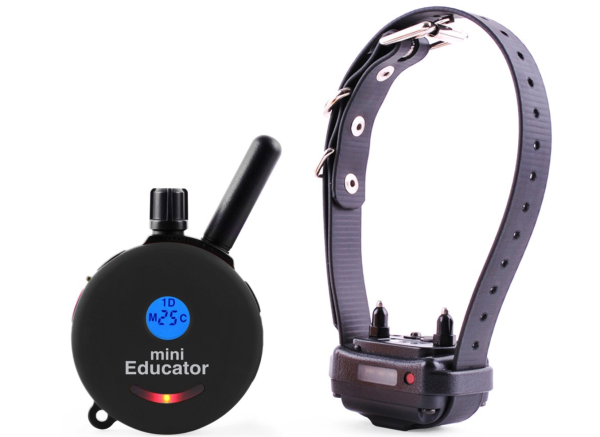 ET-300 Mini Educator® 1 2 Mile Remote E-Collar Hot on Sale