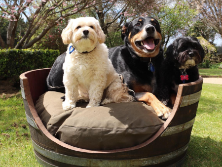 Barrel Dog Bed - Circular | Cambridge Road Pets Discount