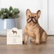 French Bull Dog Ornament Online now