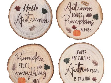 Hello Autumn Wood Slice Coaster Set For Cheap