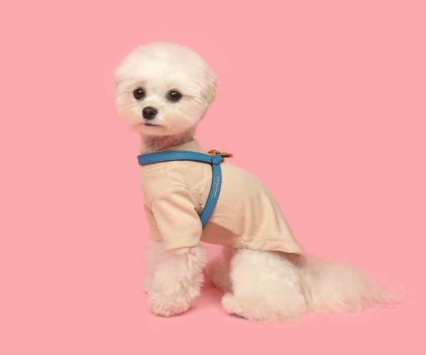 [PRE ORDER] Blue Harness Online Sale