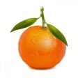 Tangerine, Citrus reticulata, Essential Oil Cheap