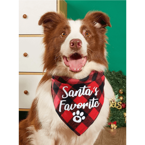 Santas Favorite - Bandana Fashion