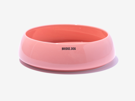 Bridge Ladder - Coral Pink (Glossy) Online now