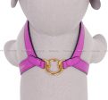 [PRE ORDER] Purple Harness Fashion