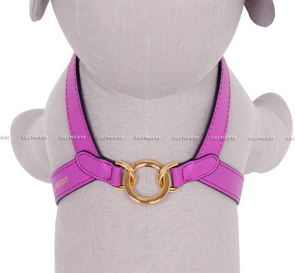 [PRE ORDER] Purple Harness Fashion