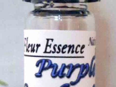 Purple Garden Sage,Salvia officinalis,purpuracens, Flower Essence Online Sale