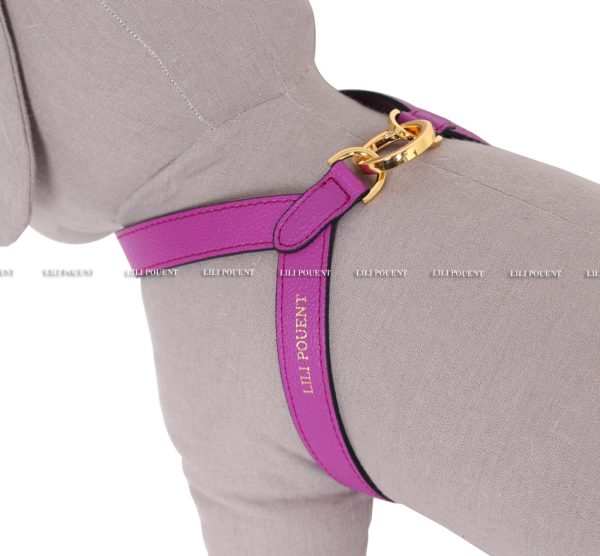 [PRE ORDER] Purple Harness Fashion