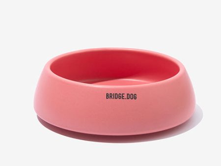 Bridge Ladder - Coral Pink (Matte) Online Hot Sale