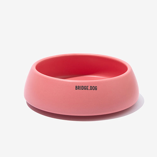 Bridge Ladder - Coral Pink (Matte) Online Hot Sale